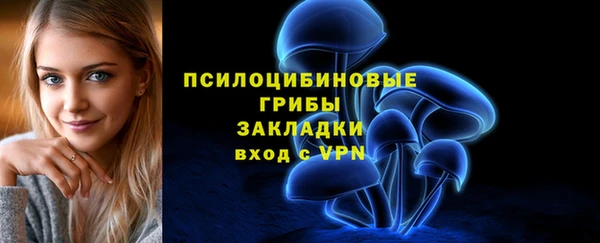 ALPHA-PVP Алексеевка