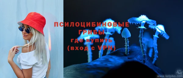 мескалин Алексин