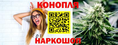 гашик Рязань