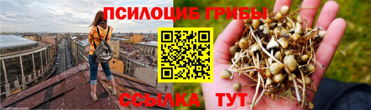 Галлюциногенные грибы Magic Shrooms Чусовой